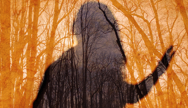 fotokonst Angelica Marken