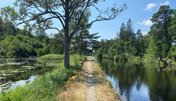 Forsvik Må-Bra runda