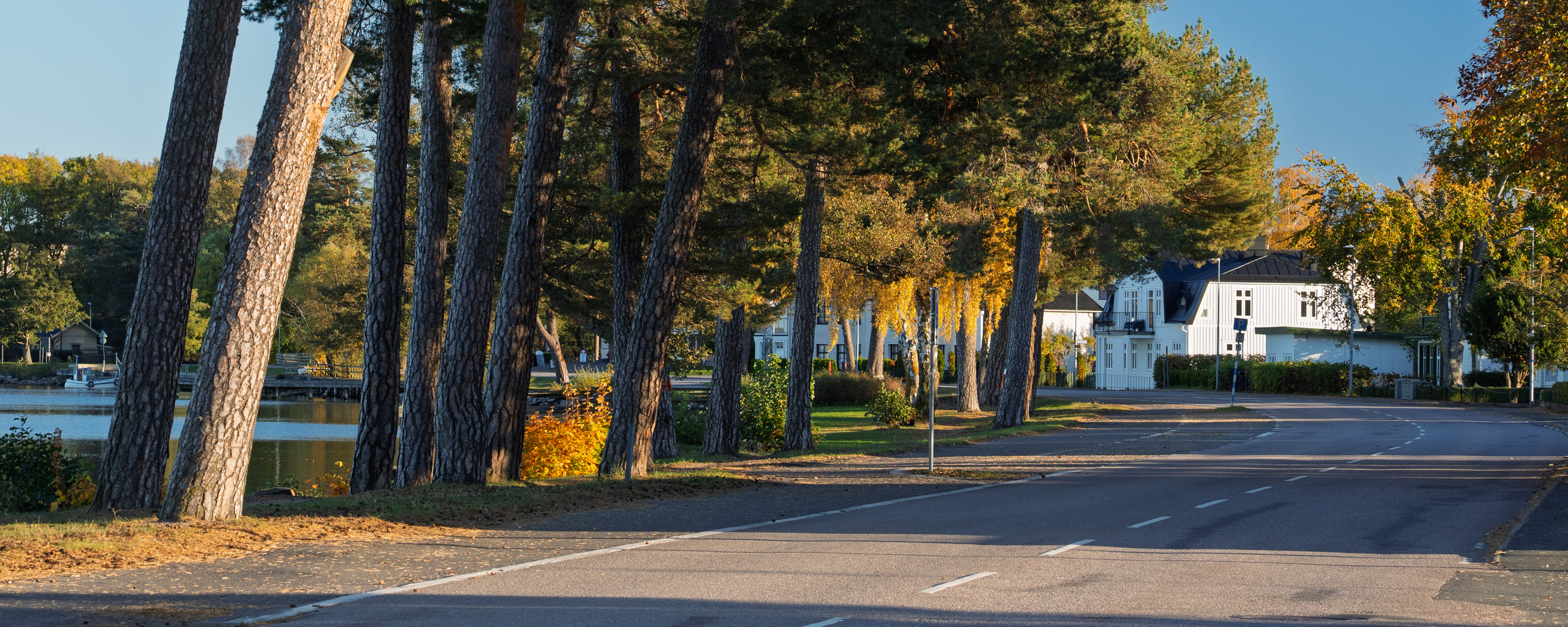 En gata kantad av träd intill sjön Vättern.
