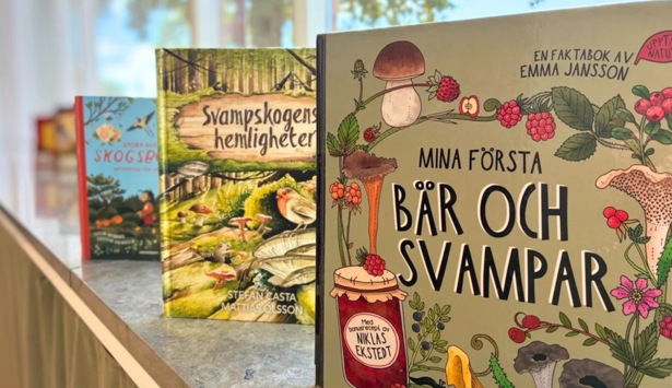 En rad böcker som står på en hylla.