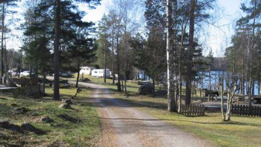 En grusväg i ett skogsområde på Forsviks camping