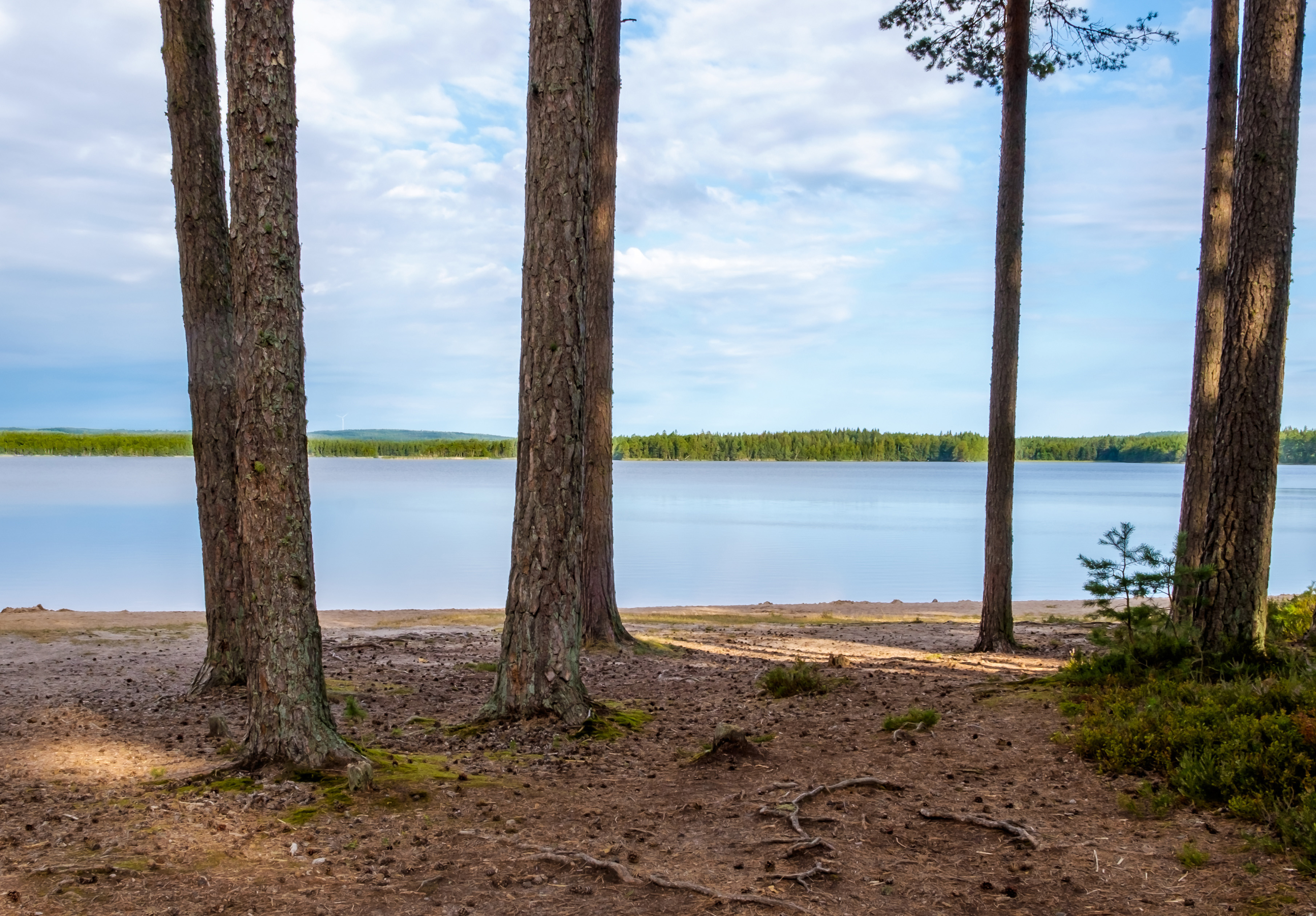 Svartfjällsviken  med utsikt över Bottensjön 