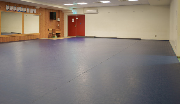 Mindre lokal Moliden med mjuk matta