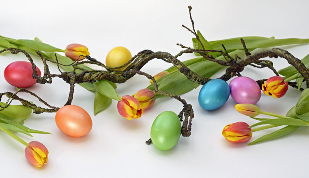 En gren med blommor och ägg på.