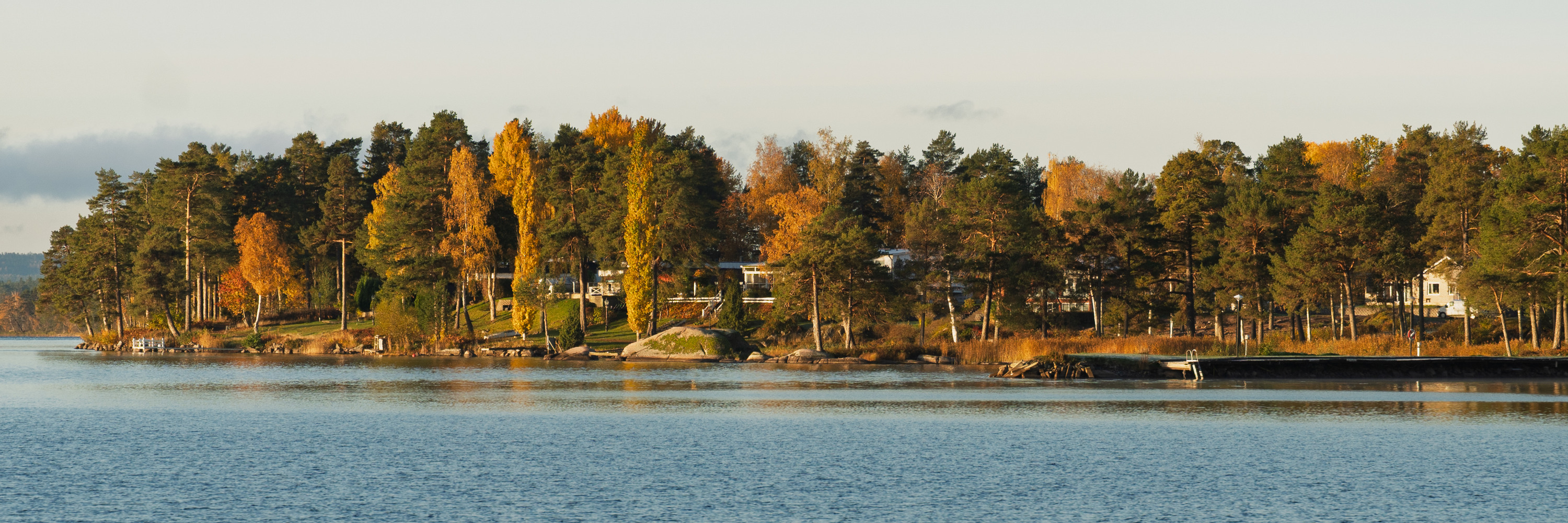 Bottensjön med träd och hus i bakgrunden.