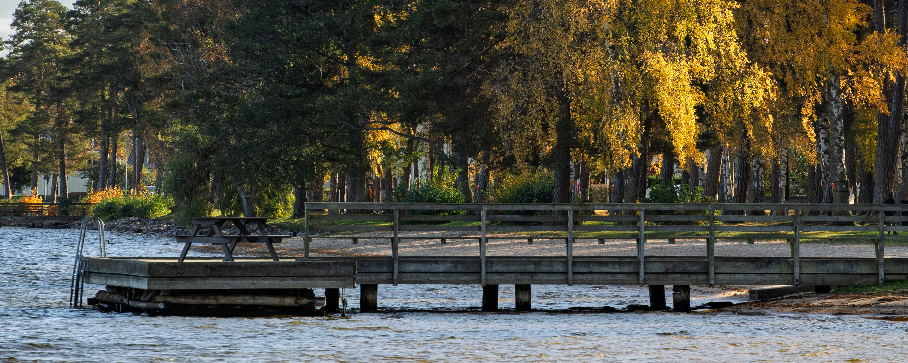 Brygga vid stranden med träd i bakgrunden