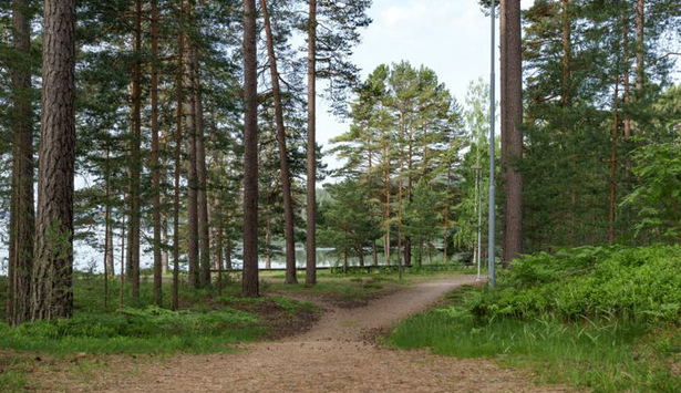 Motionsspår med sjö i bakgrunden