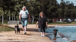 Man och kvinna med hundar går på stranden vid Äspenäset
